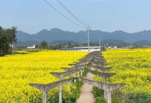 首陽山鎮(zhèn)最新天氣預(yù)報(bào)