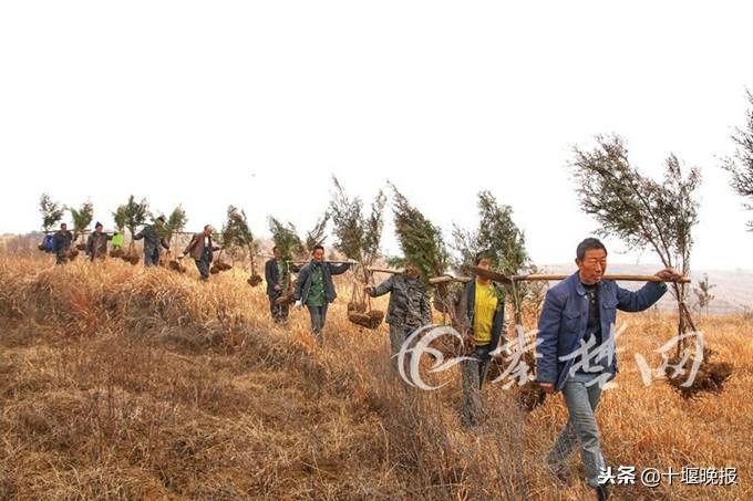 竹山縣住房和城鄉(xiāng)建設局最新發(fā)展規(guī)劃揭秘