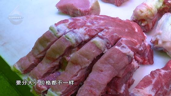 小豬最新價(jià)格行情