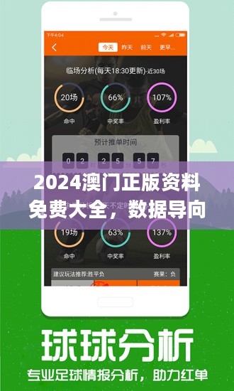 2025澳門精準正版圖庫,深入數(shù)據(jù)解釋定義