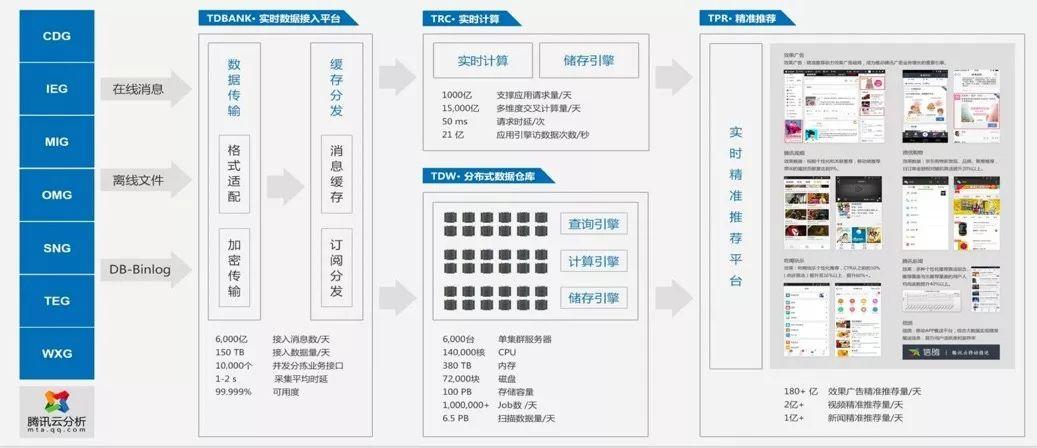 皮昆卉 第3頁