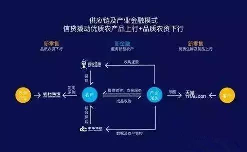 一白小姐一一肖必中特,數(shù)據(jù)支持策略解析