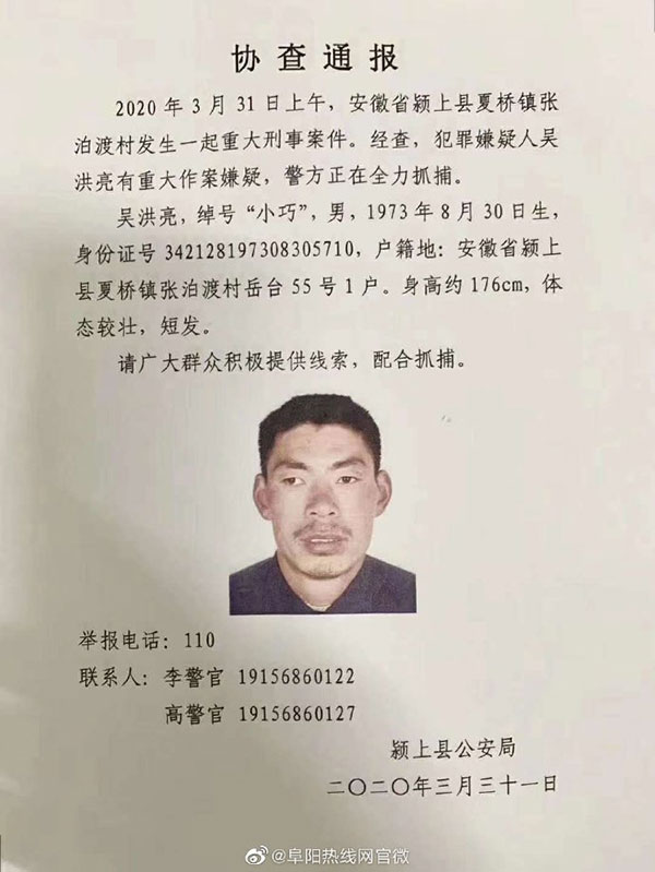 阜陽最新殺人案，深度探究與反思