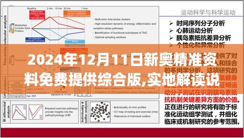 最精準(zhǔn)資料免費(fèi)大全,理論分析解析說明_模擬版93.355