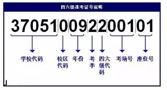 新澳開獎記錄今天結(jié)果查詢表,靈活性方案解析