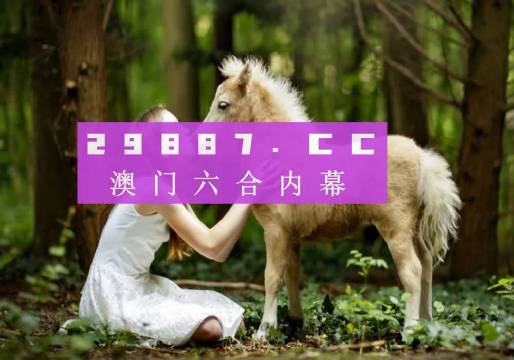 4949開獎免費資料澳門｜精細設(shè)計策略