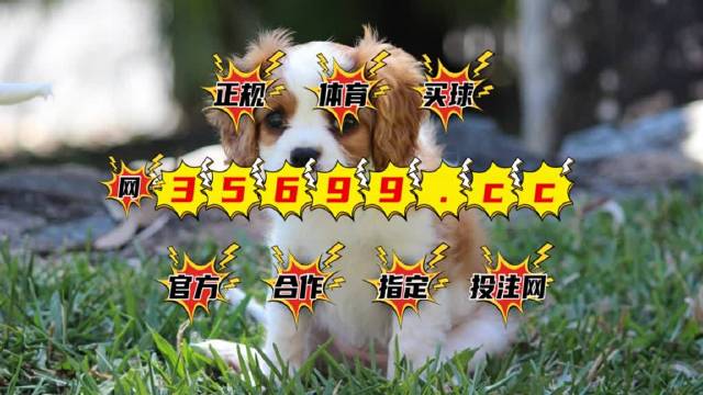 今晚澳門(mén)9點(diǎn)35分開(kāi)獎(jiǎng),專(zhuān)業(yè)解析說(shuō)明_T45.580