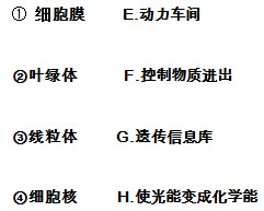 今晚澳門9點35分開06,深悟全面釋義落實_試驗集14.339