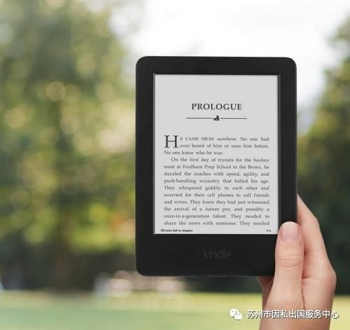 新澳大全2025正版資料,實(shí)地評(píng)估說明_Kindle14.598