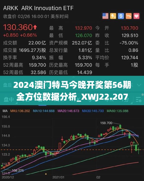 2025年今晚澳門(mén)特馬,動(dòng)態(tài)說(shuō)明解析_T16.446