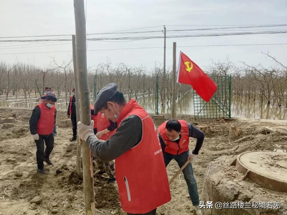 若羌縣住房和城鄉(xiāng)建設(shè)局最新新聞資訊動(dòng)態(tài)