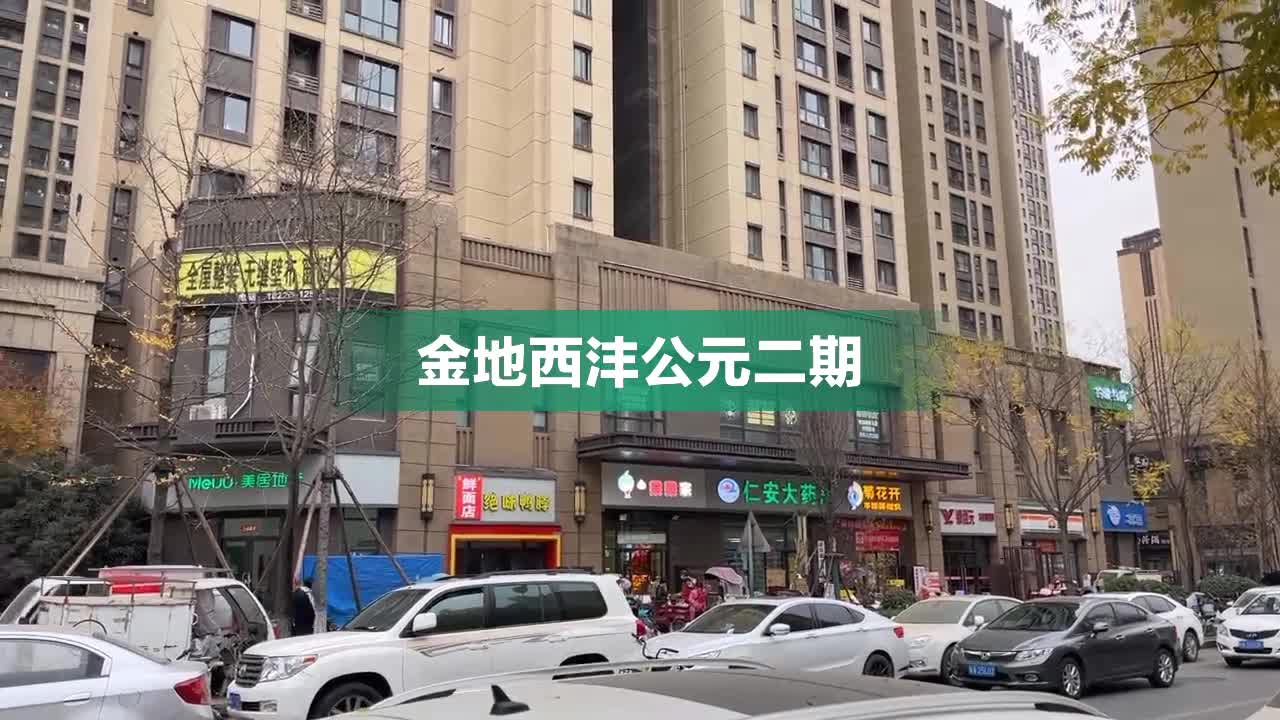 金地西灃公元最新