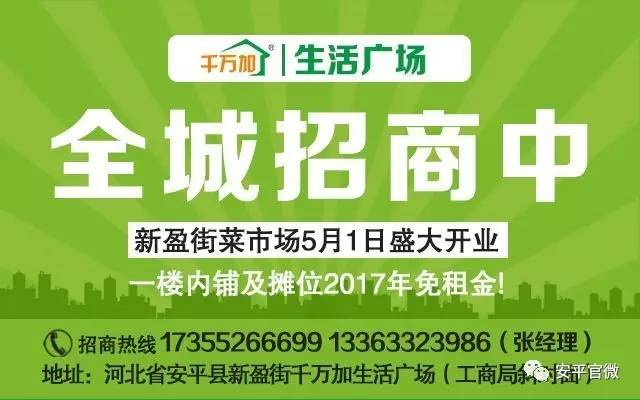 文安縣人力資源和社會(huì)保障局最新招聘信息全面解析