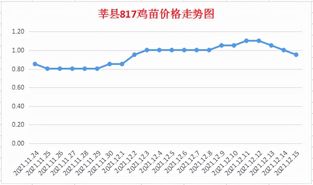 817毛雞最新價(jià)格