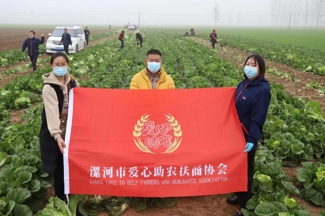 臨潁縣農(nóng)業(yè)農(nóng)村局最新新聞