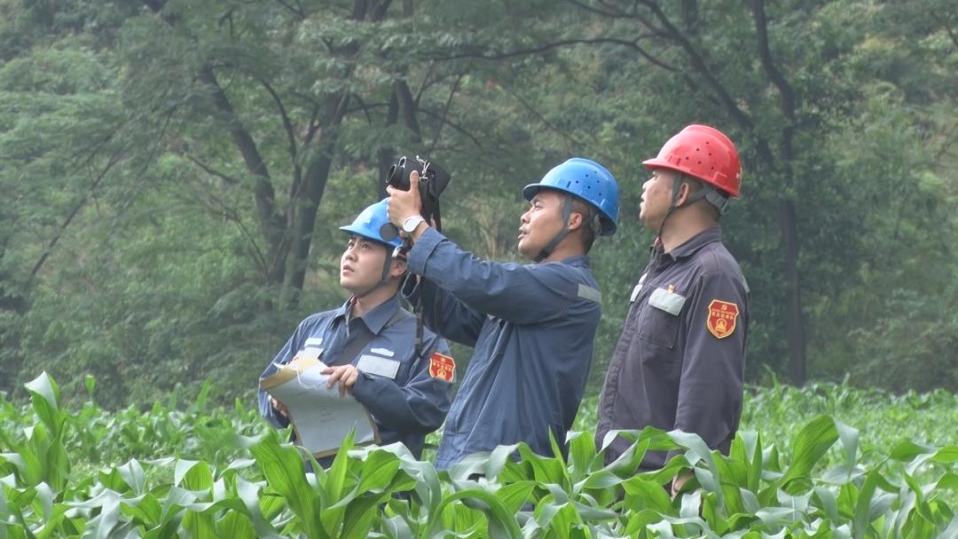 白山市市供電局最新項(xiàng)目概覽，探索電力發(fā)展的前沿動(dòng)態(tài)