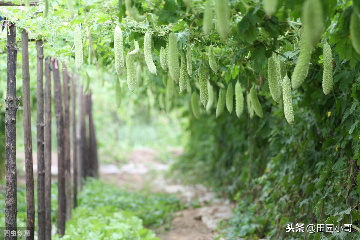 小水鎮(zhèn)最新天氣預(yù)報(bào)