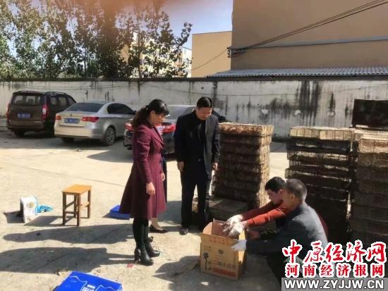 舞陽縣人力資源和社會(huì)保障局最新招聘信息