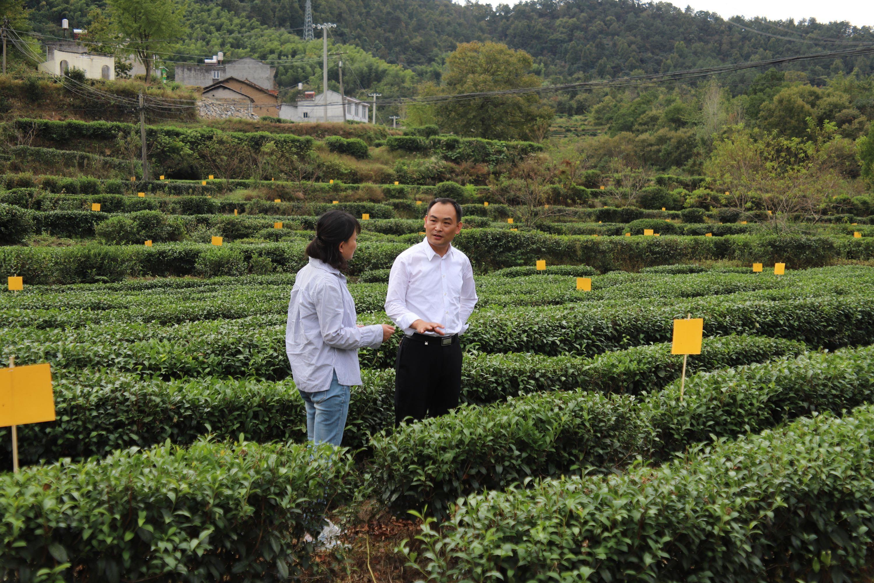 上河村民委員會(huì)最新新聞