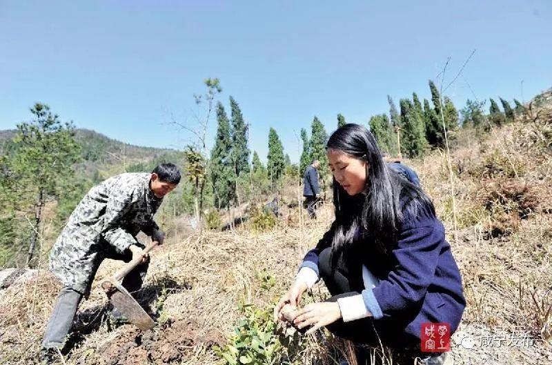 咸寧市扶貧開發(fā)領(lǐng)導(dǎo)小組辦公室最新項目進展報告概覽