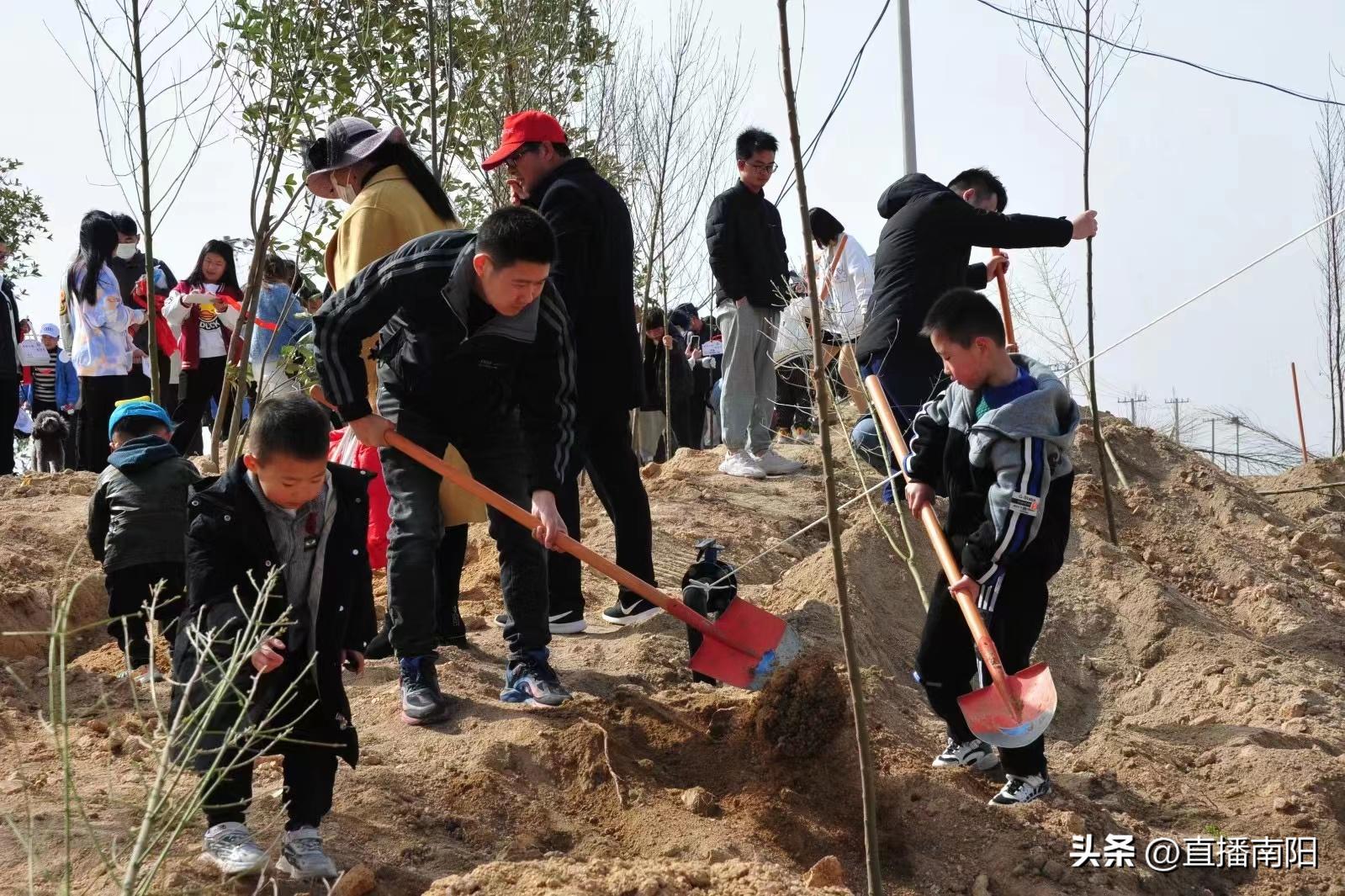 臥龍區(qū)計劃生育委員會最新領(lǐng)導(dǎo)團隊亮相，工作展望與領(lǐng)導(dǎo)力量展示