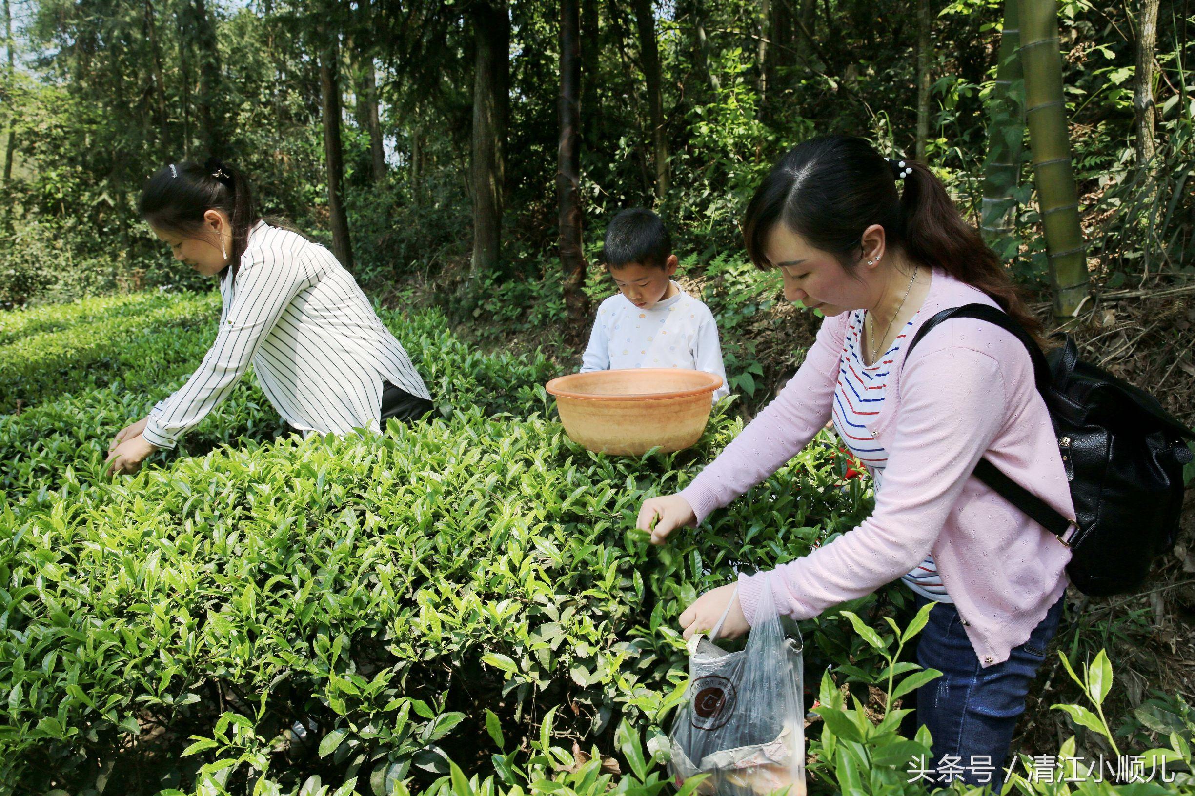 恩施市司法局最新項(xiàng)目推動(dòng)法治建設(shè)，服務(wù)人民群眾法治建設(shè)新篇章